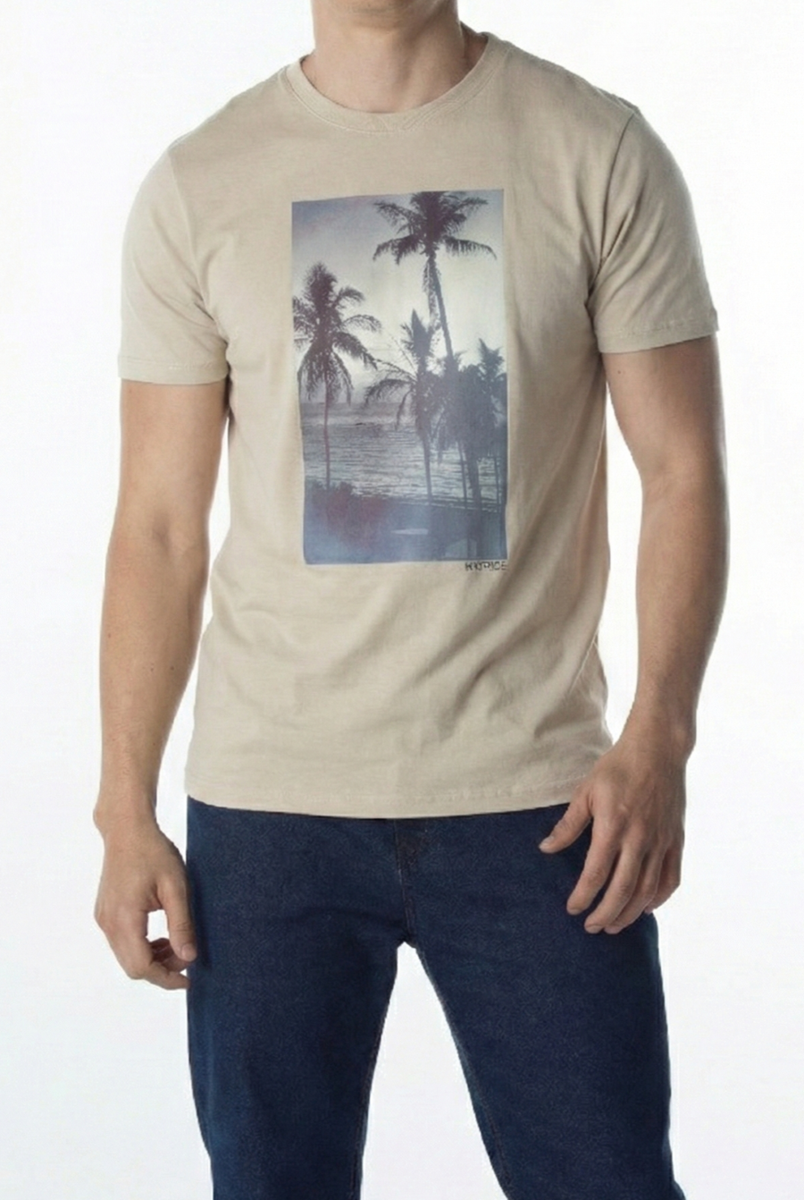 CAMISETA COMFORT M/C COQUEIRO